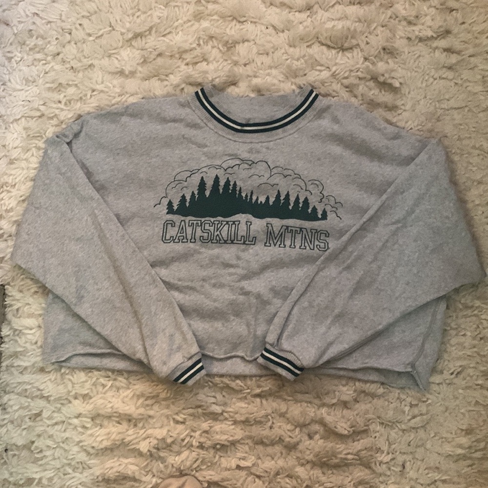 American Eagle Gray Green Catskill Mountains Cropped Sweatshirt